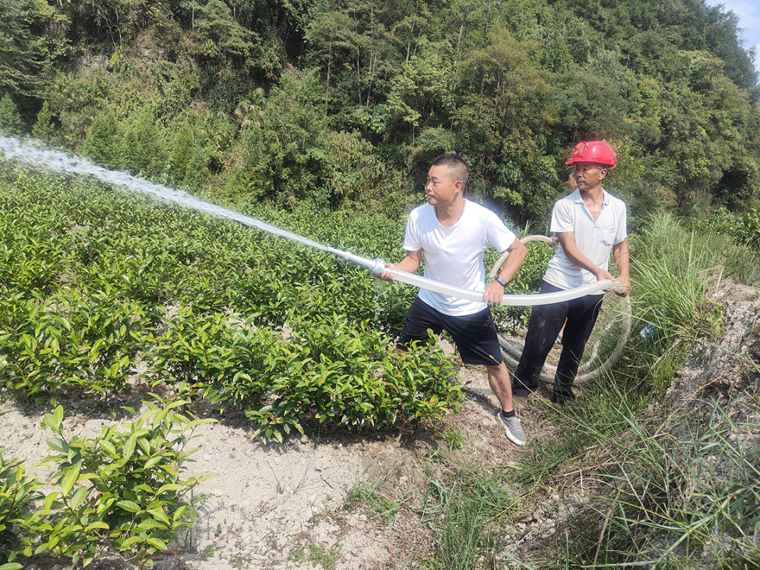 yl23455永利(中国)股份有限公司官网