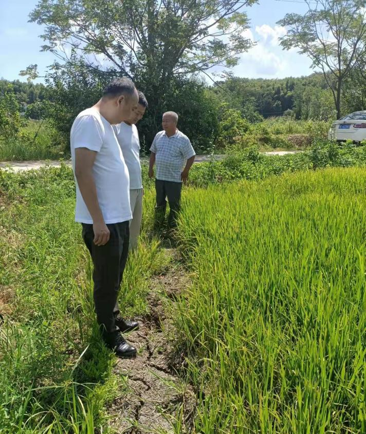 yl23455永利(中国)股份有限公司官网